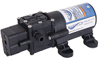 Everflow pumps