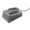 Fast charger Battery Power+ 36/60