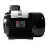 NICOLINI ELECTRIC MOTOR 3.0KW 4HP 230V F100