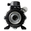 NICOLINI ELECTRIC MOTOR 3.0KW 4HP 230V F100